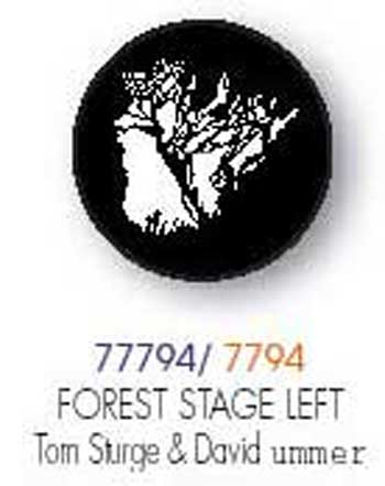 Forest stage left Ton Sturge & David ummer