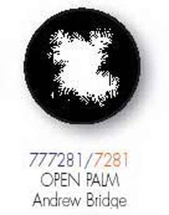 Open Palm