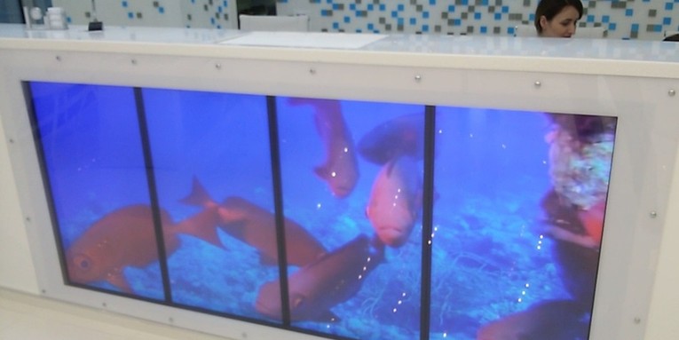 Интерактивный аквариум в стойке рецепшн в медицинской клинике в г. Москва